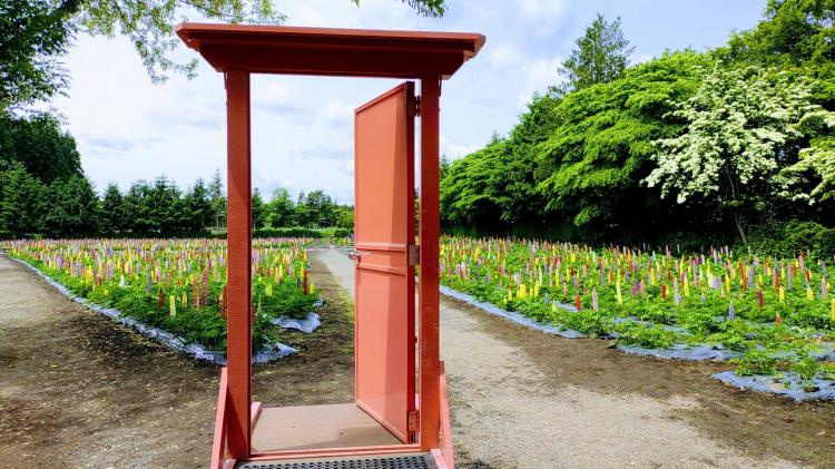 �^�A�j���ŗL���ȗ�̃h�A�A�Ă�