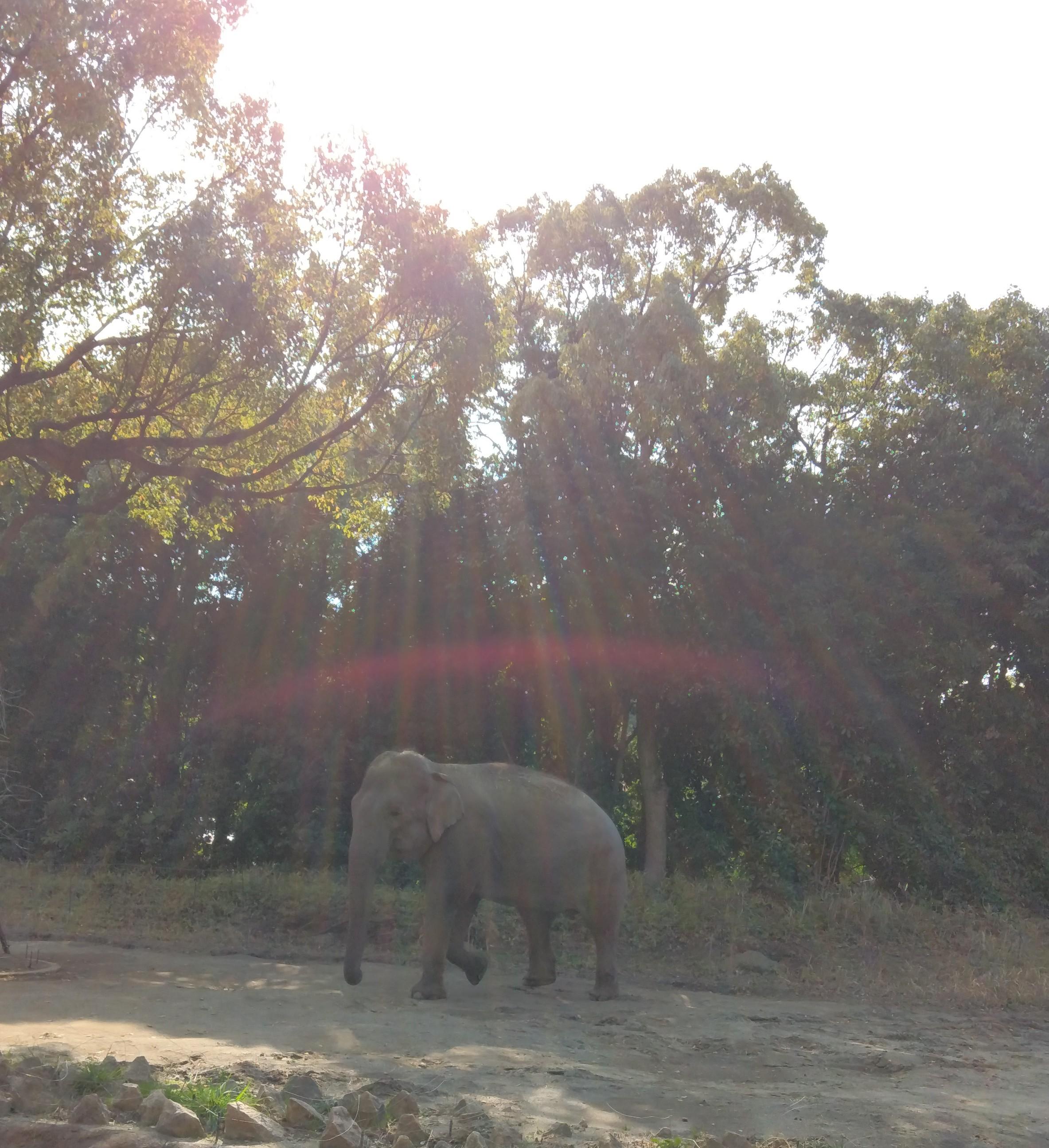 ����ɕ�܂��