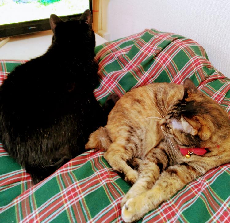 2025�N��P�����閂�@