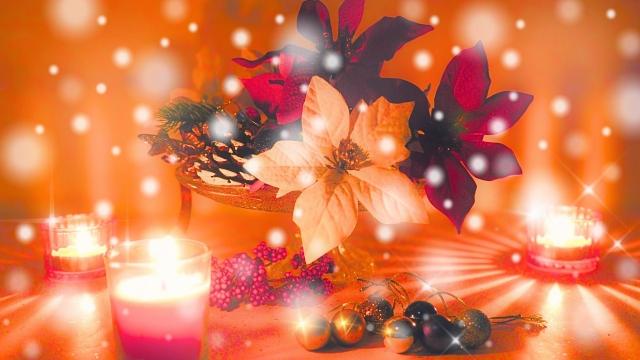 �����������������肪�Ƃ��������܂�