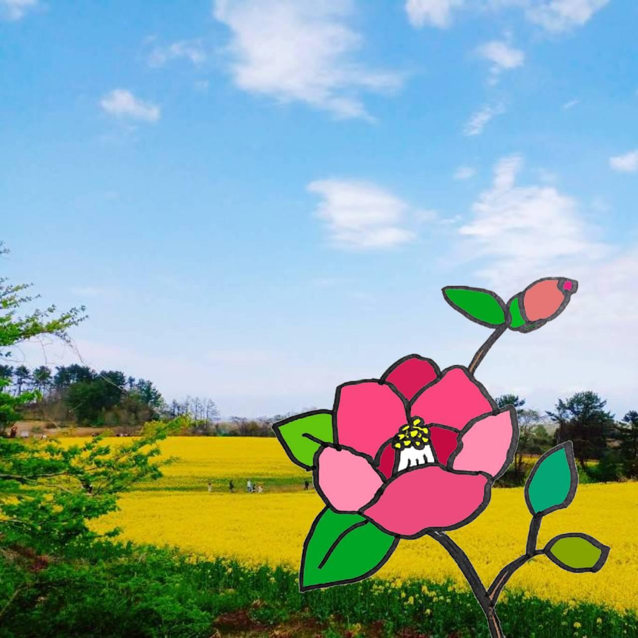 �o���̖������S