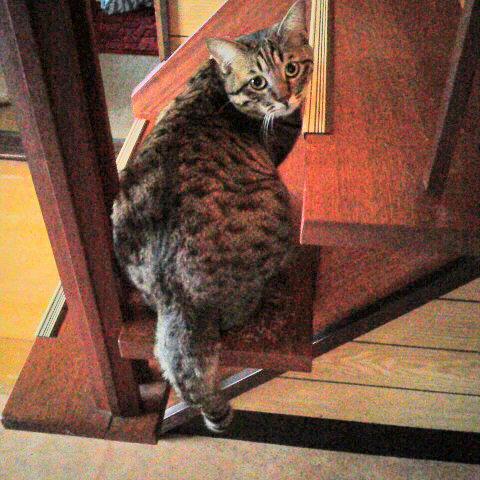 �L���ׂ�����ׂ��E�E�E