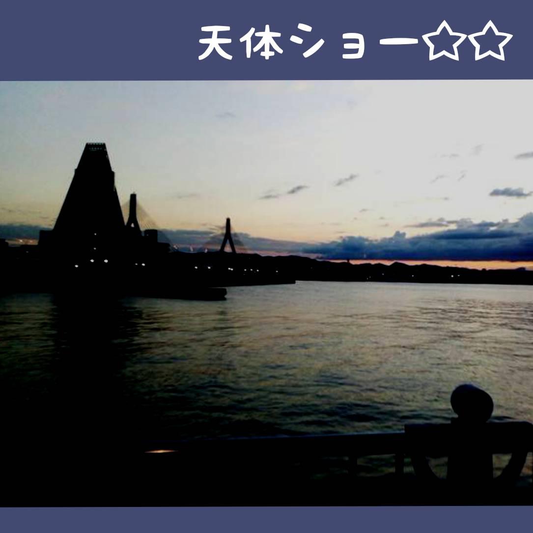 �y���Ќ��悤�z���̋�ɖؐ��Ƌ������P���I