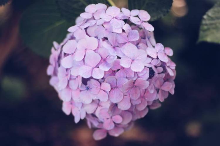 �_���܂���̃��b�Z�[�W