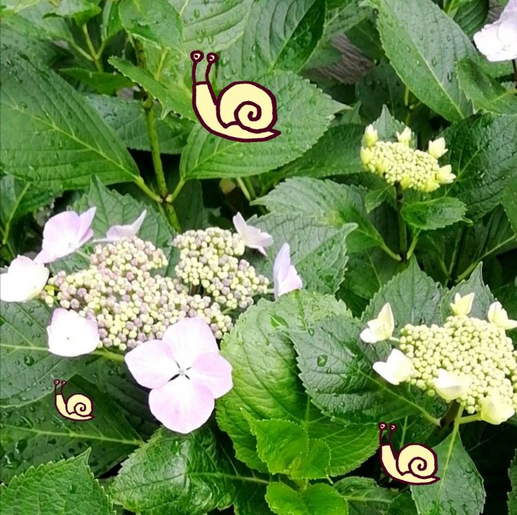 �F��ς��鎇�z�Ԃ̖���