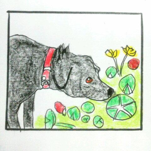 ��؂ȃp�[�g�i�[�Ƃ��Ẵy�b�g