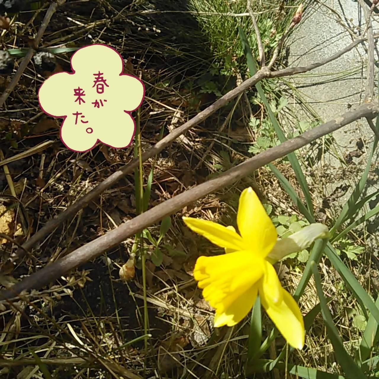 �V�N�x�A�l�Ԋ֌W�̍����I