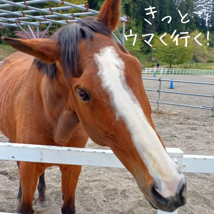 �ߔN������A�����Ɓu�E�}�i�n�j���v�����B