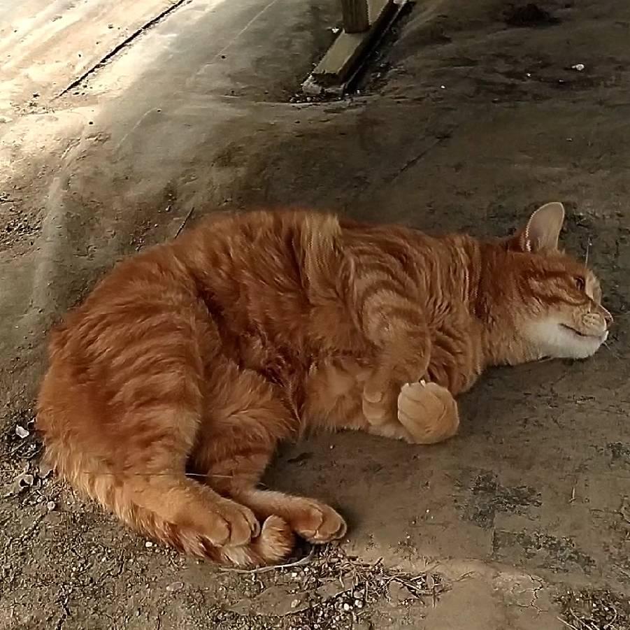 ���̐��Ƃ��̐��̋��ڂ������b