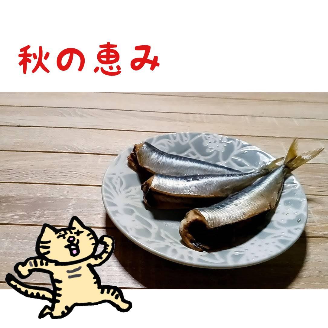 �C���V�����I�H�̖��o�����������܂���