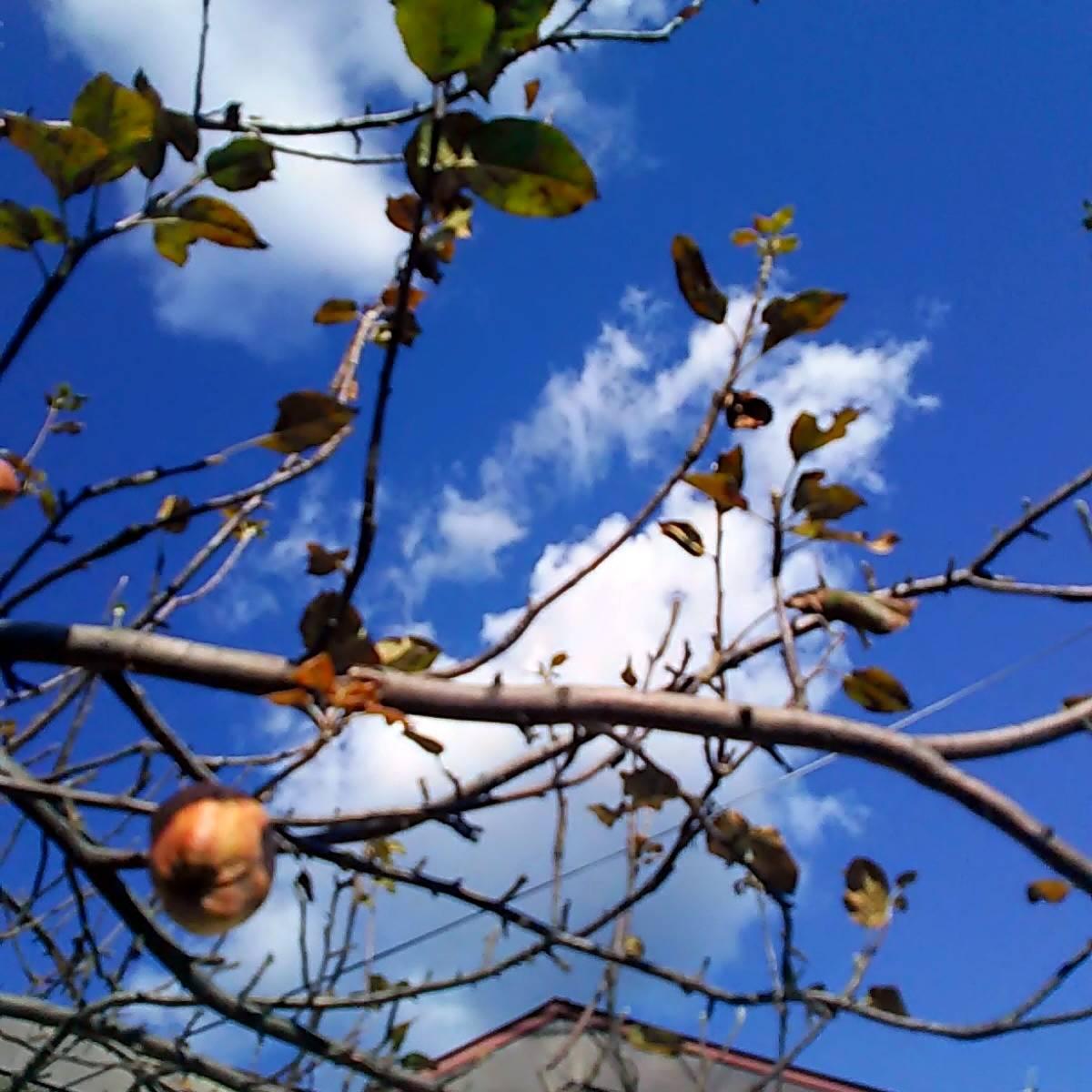 �u�h���h�ԁh���h�v�w�͂���Ӗ�