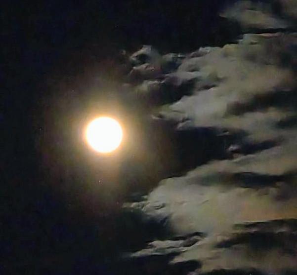 2026�N4���̖�����