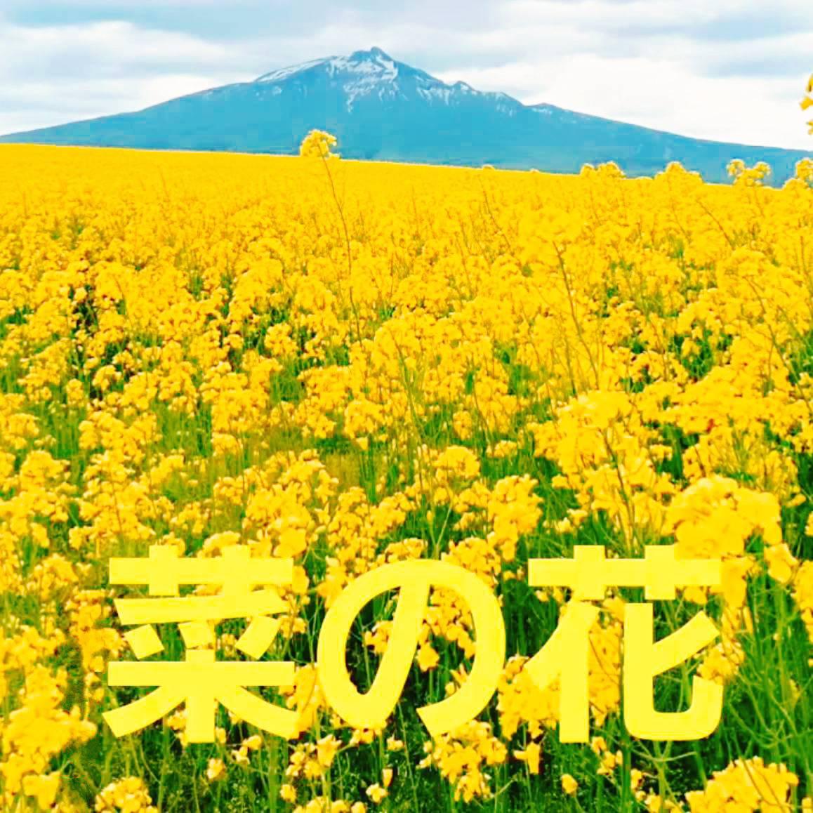 ���邾���Ō��C�ɂȂ�摜