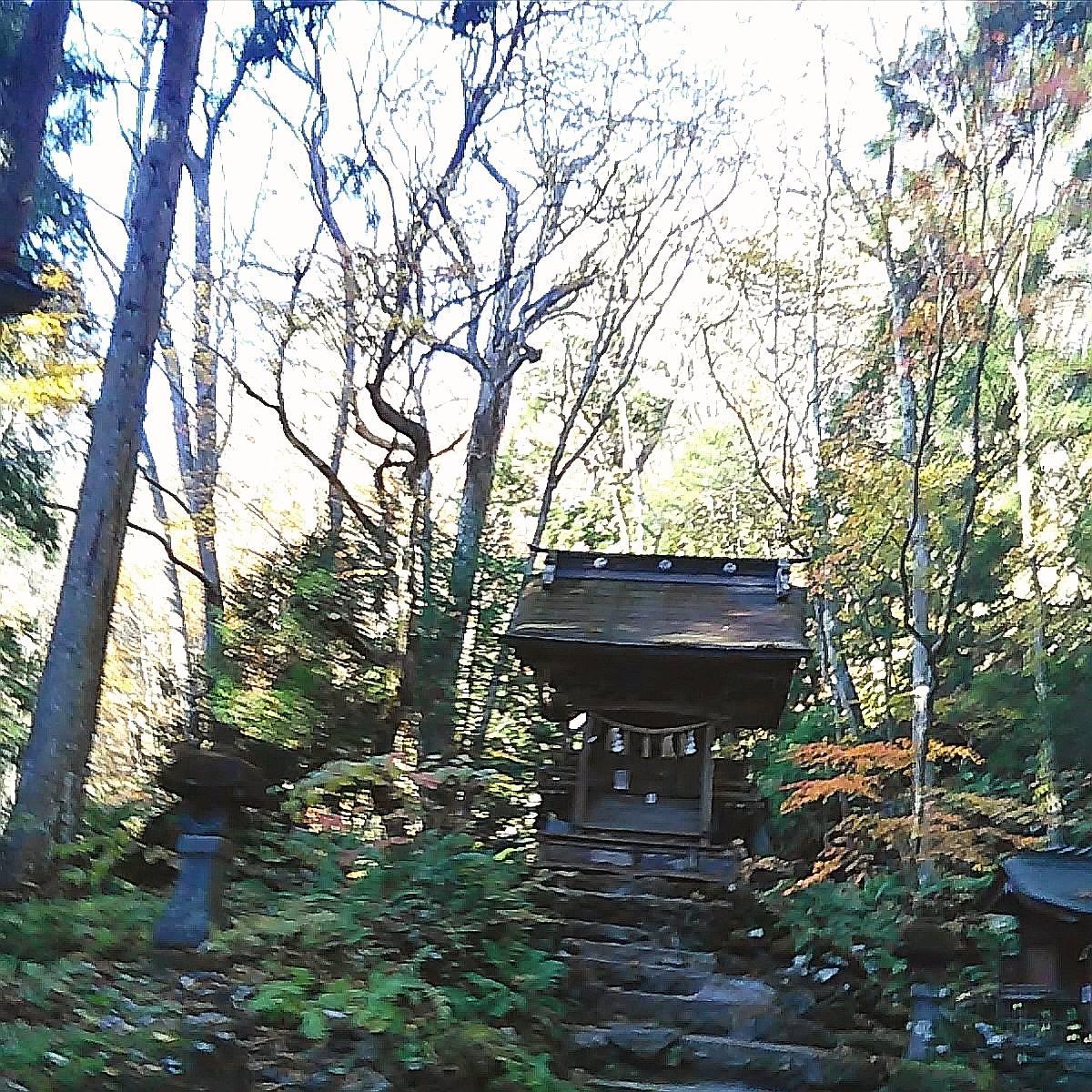 �\�a�c�Γ`���ƌF�쌠��202011����4