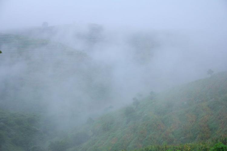 ���������̐���