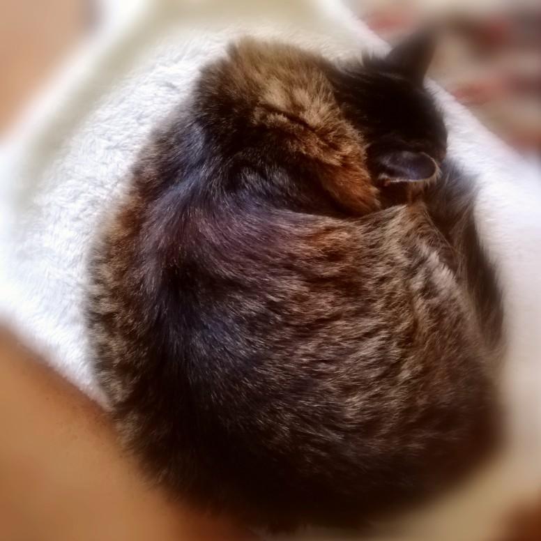 �����̒n�k�ɂ���