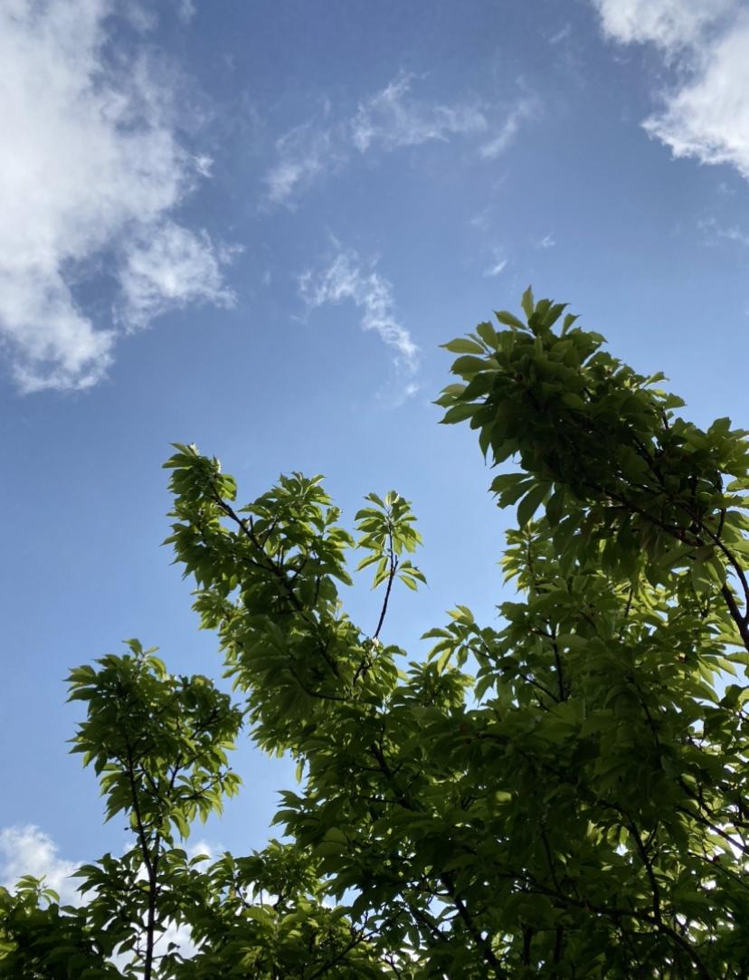 ����Ȃ��E�₳����Ȃ��E���˂Ȃ��c