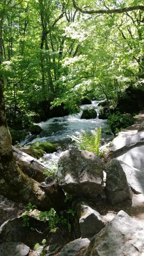 ����ȂƂ��͐����⋋