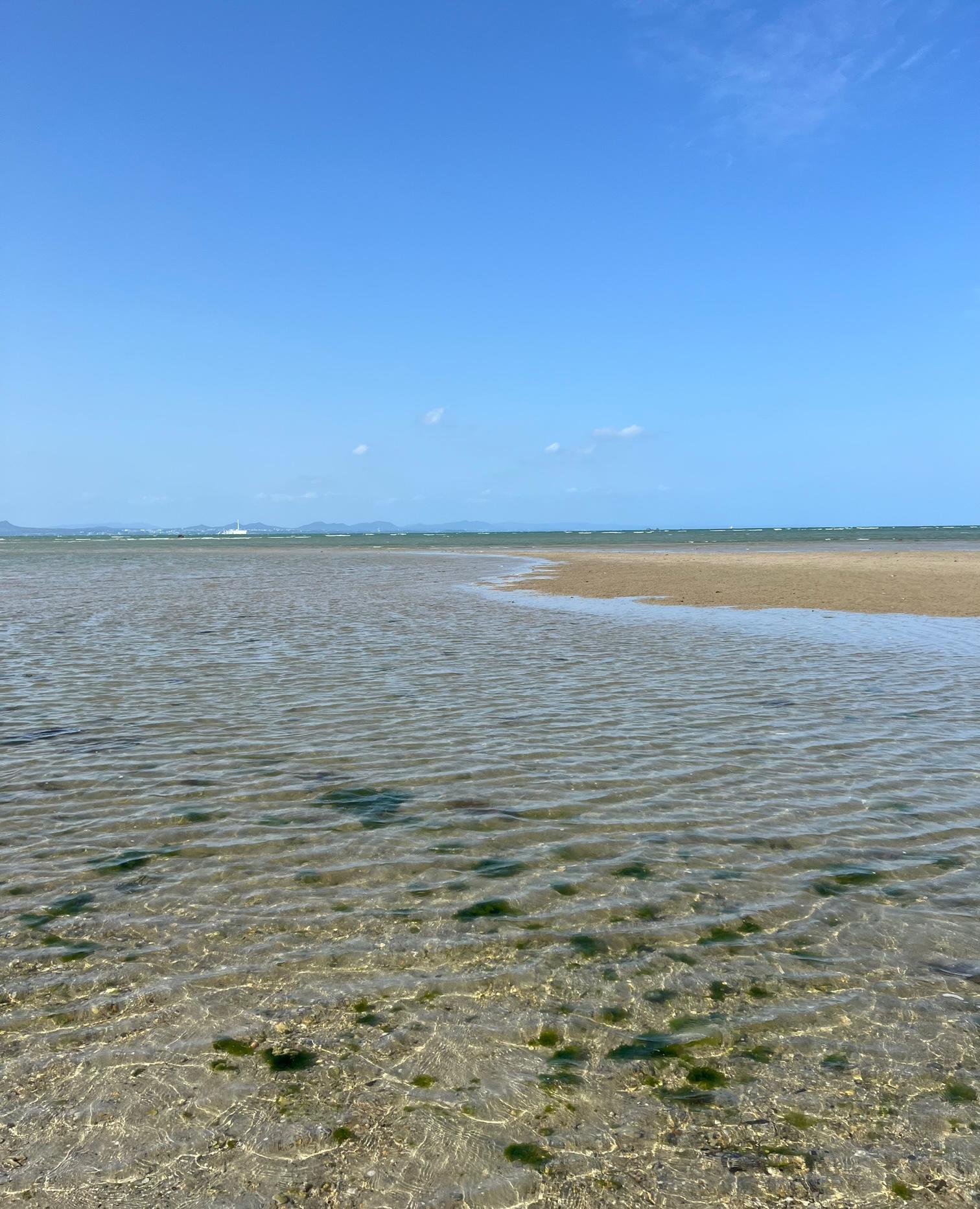 ���N�̊C�J��