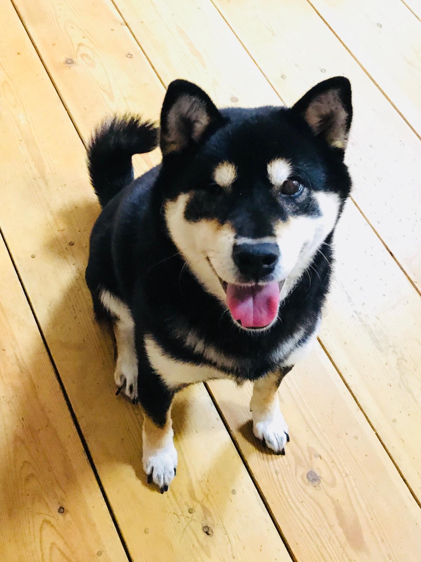 �����̒��̃G�l���M�[�����߂邱��