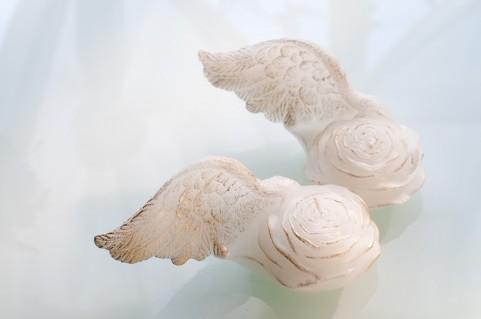 ���P���Ȃ̂��������Ȃ̂�