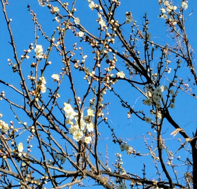 �D�����n��