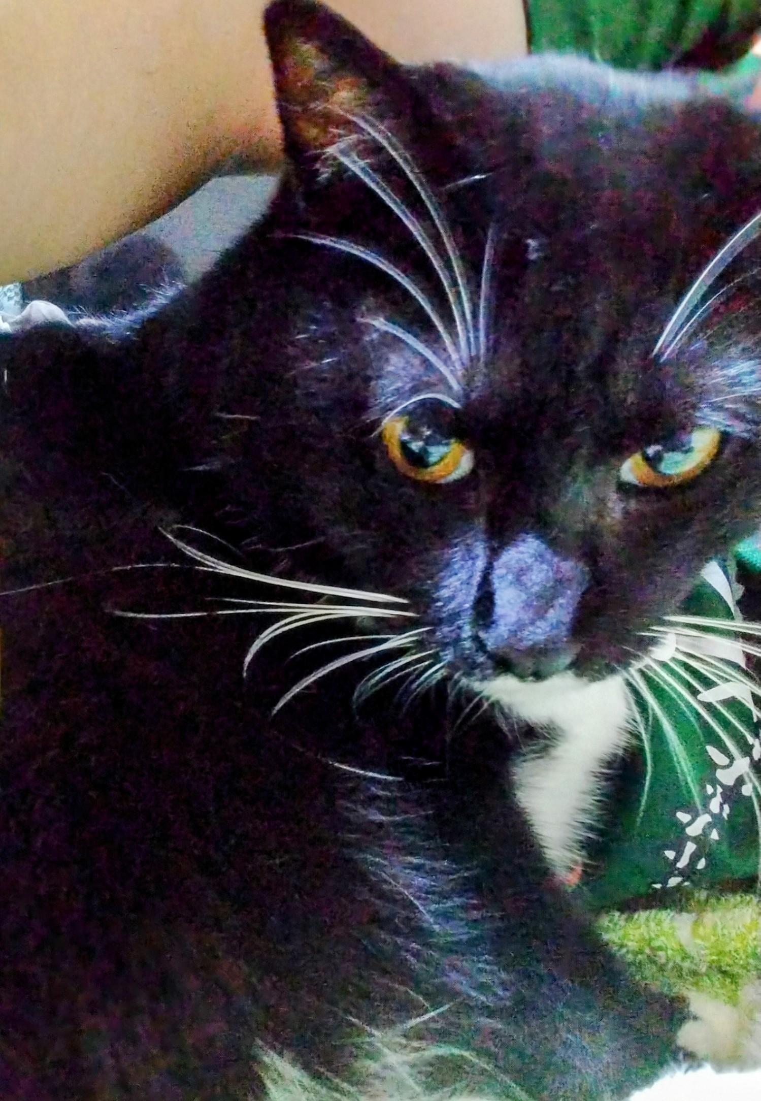 9���̏I���ɂ��Ă�����