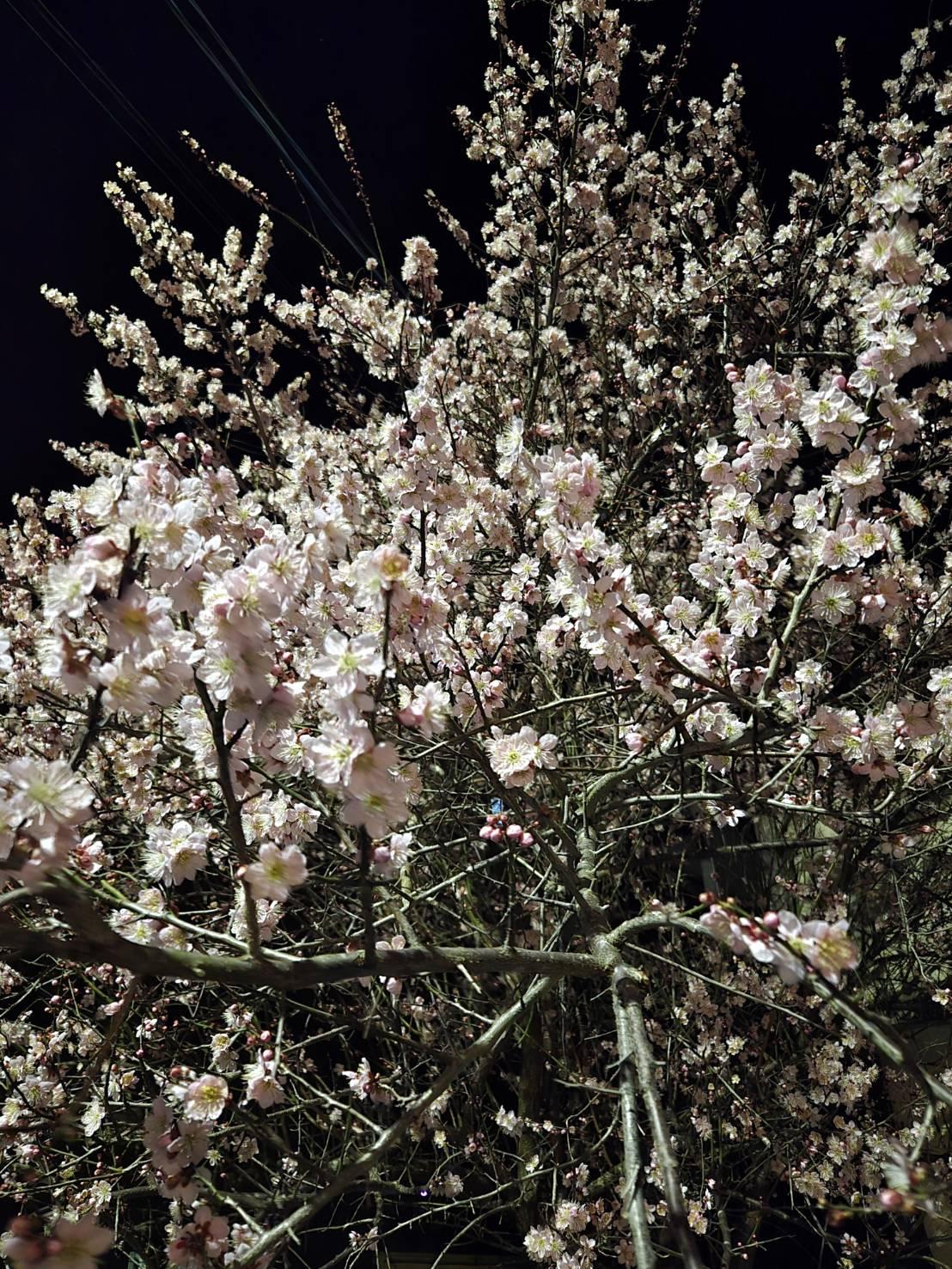 �R��19���@�^��