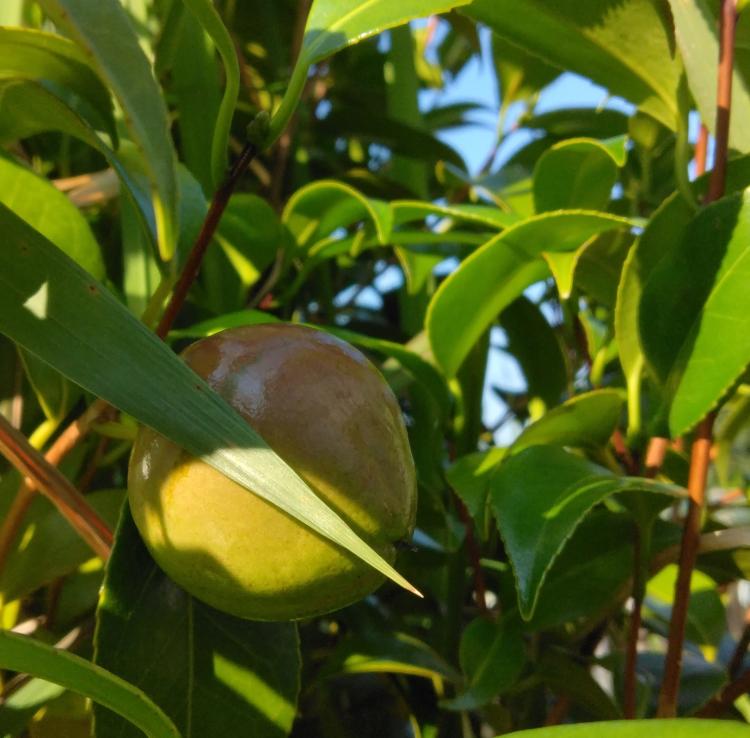 �z����z����