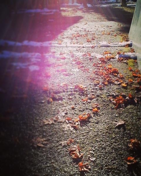 ���ǂ�����