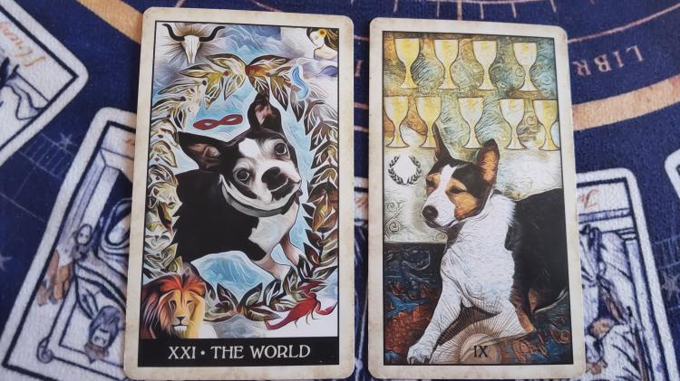 �W�����s���O�J�[�h���b�Z�[�W