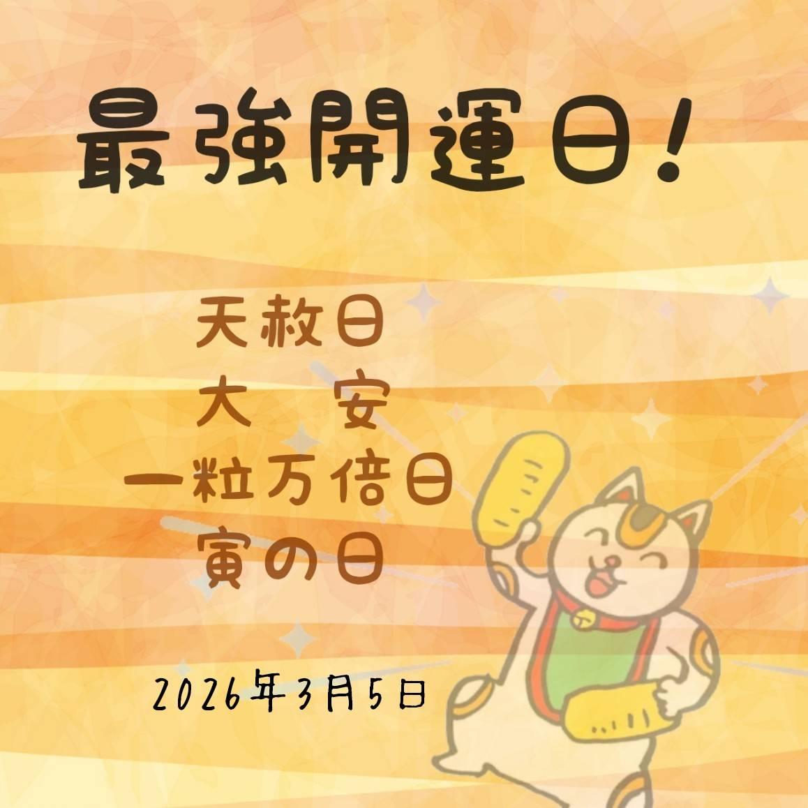 ����3/5�͍ŋ��J�^���I