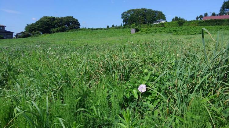 �J�������q