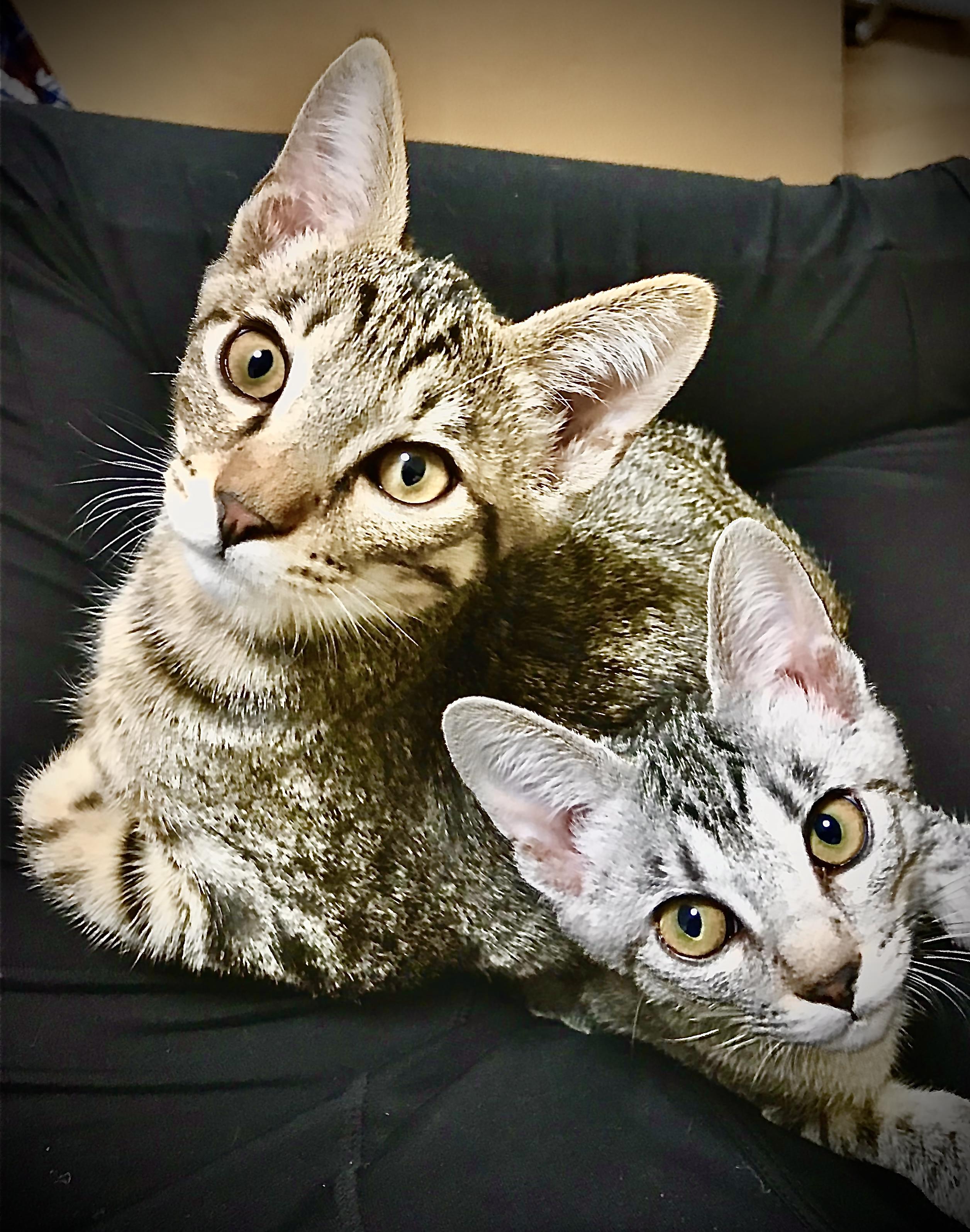 �R�~���́IR3.12.13.���̃u���O