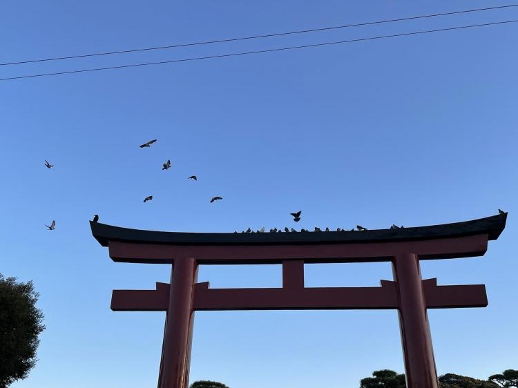 �Ȃ肽������R3.12.18����