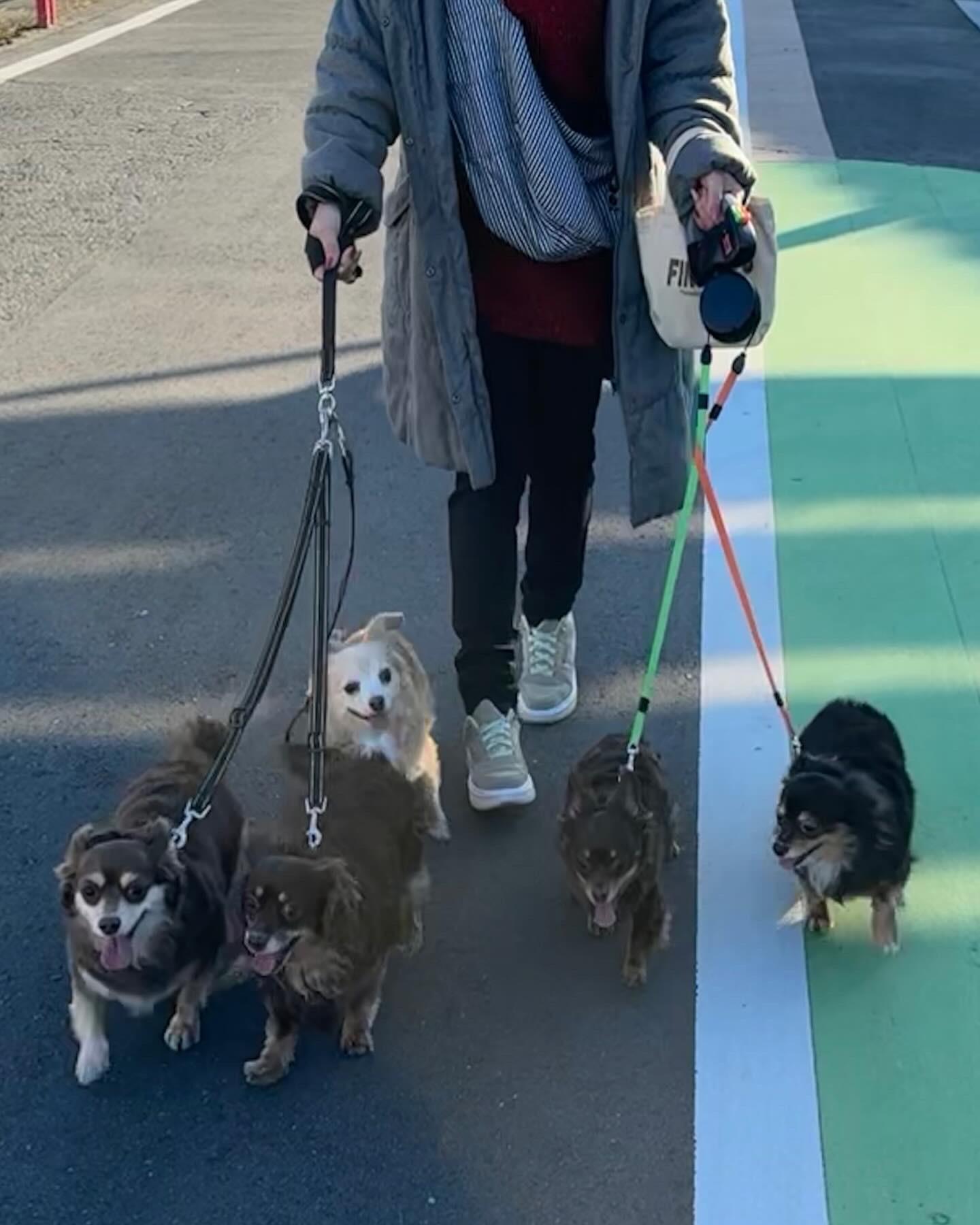 �����̃����R