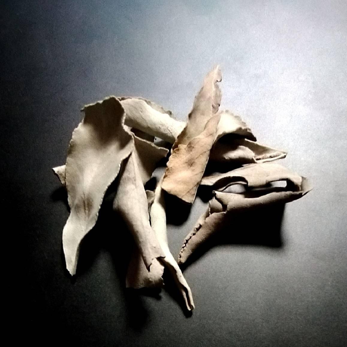 �z���C�g�Z�[�W�𐆂��ꏊ�́A�Ȃ��