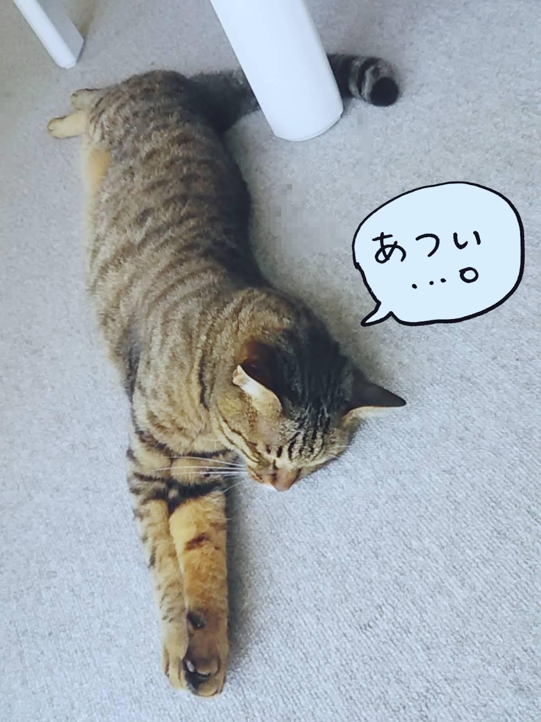 �c���������@�L�̂т�