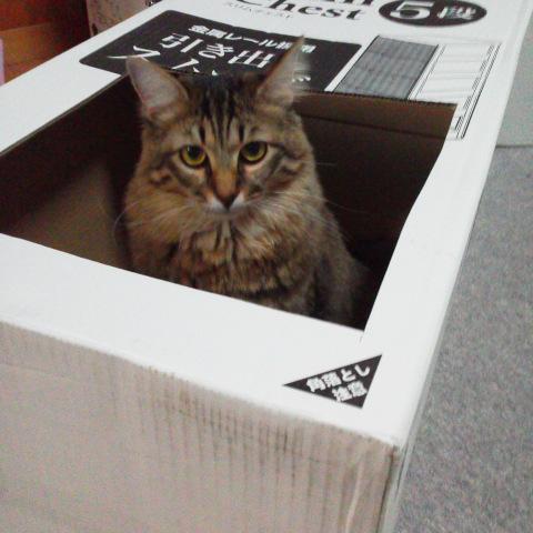 �L�z�C�z�C