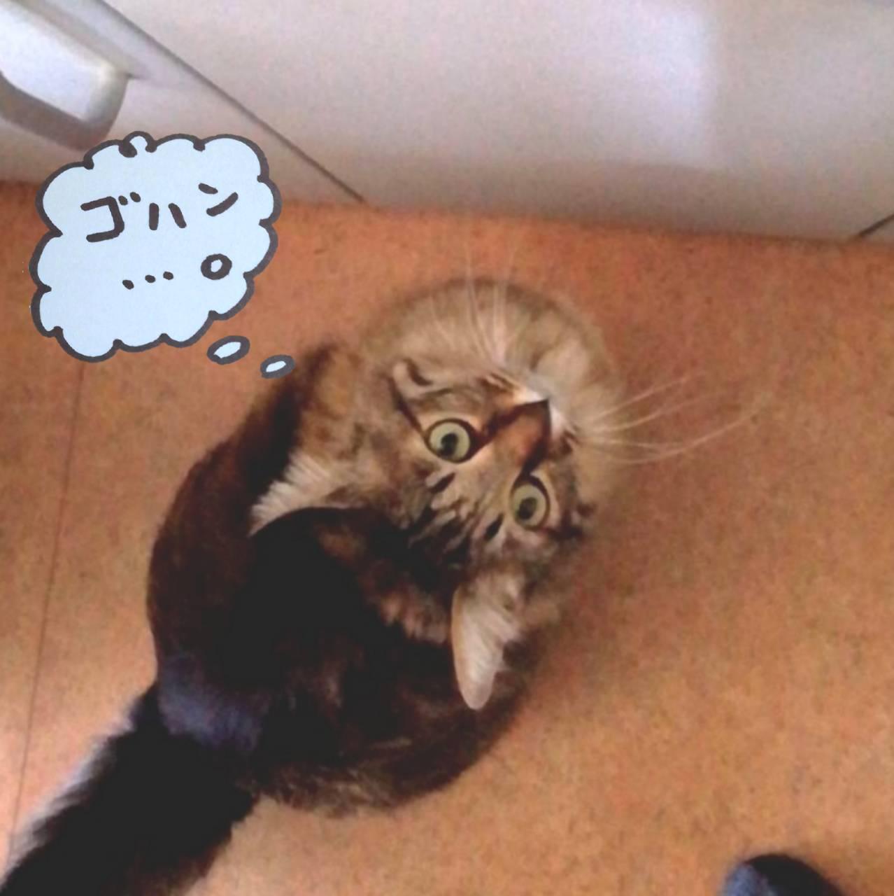 �A�C�R���^�N�g����n�܂������