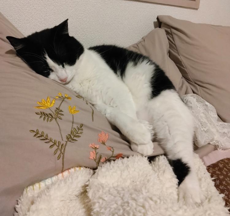 ���o���邱�Ɓ�