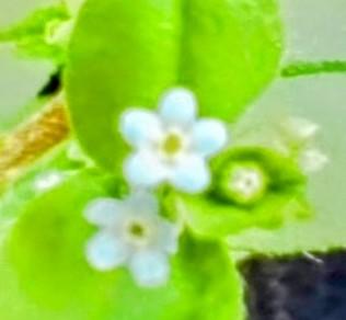 �K���𓘂�