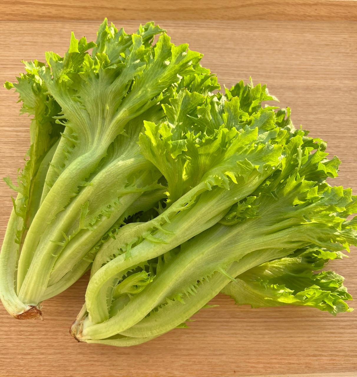 �_�̓��A�v�����̐��Ȃ郌�^�X�l