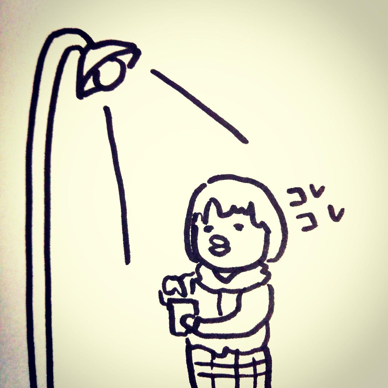 �{�闷�s�҂S�@��̏����Ɍ����������R