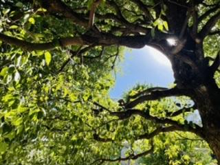 �O���E���f�B�O�IR4.5.27.����