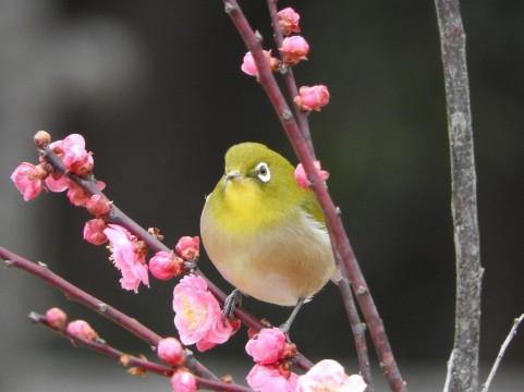 �_���܂���̂����t�u�Q�O�Q�O�N�́E�E�E�v