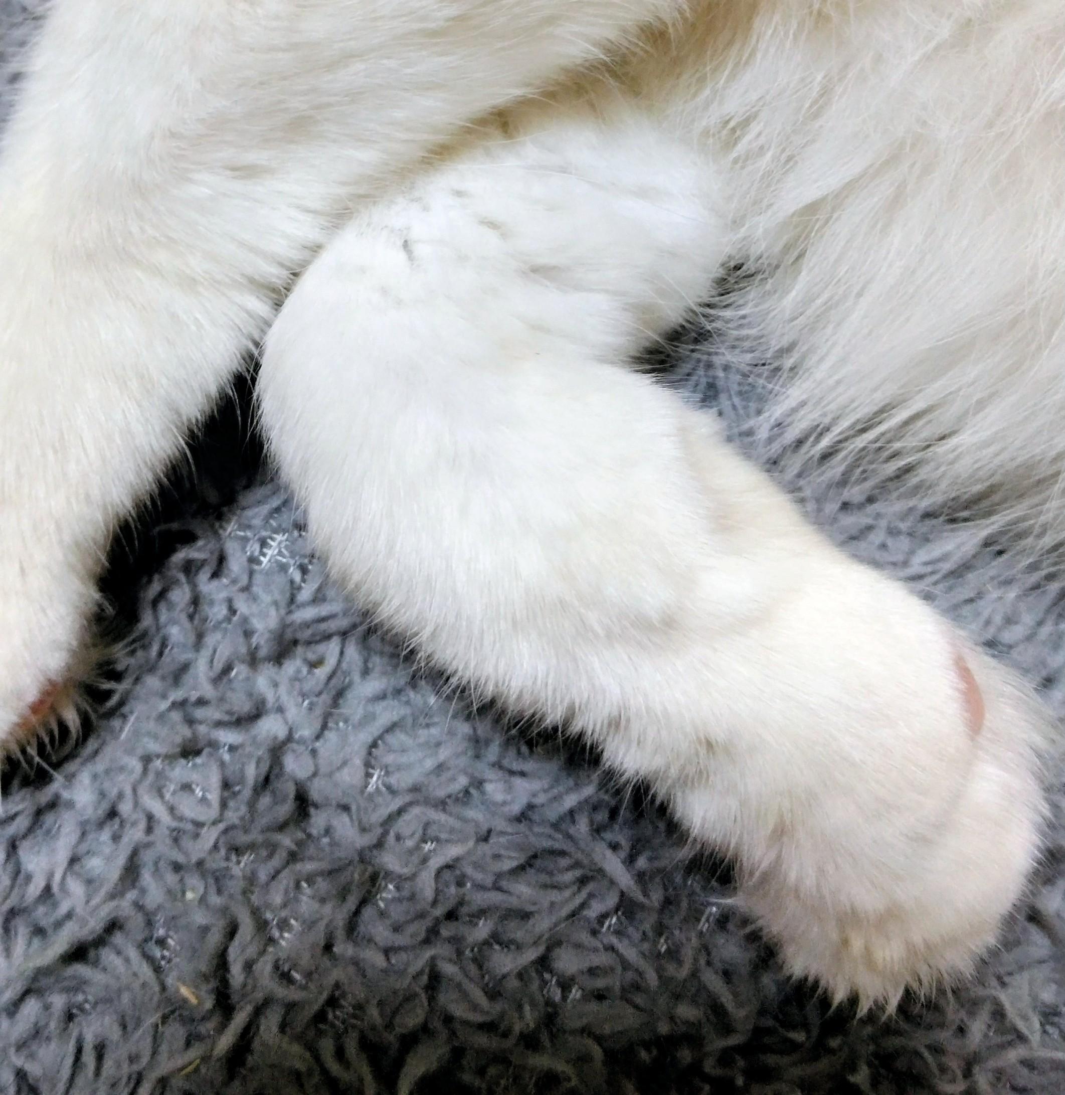 �㌷�̌���