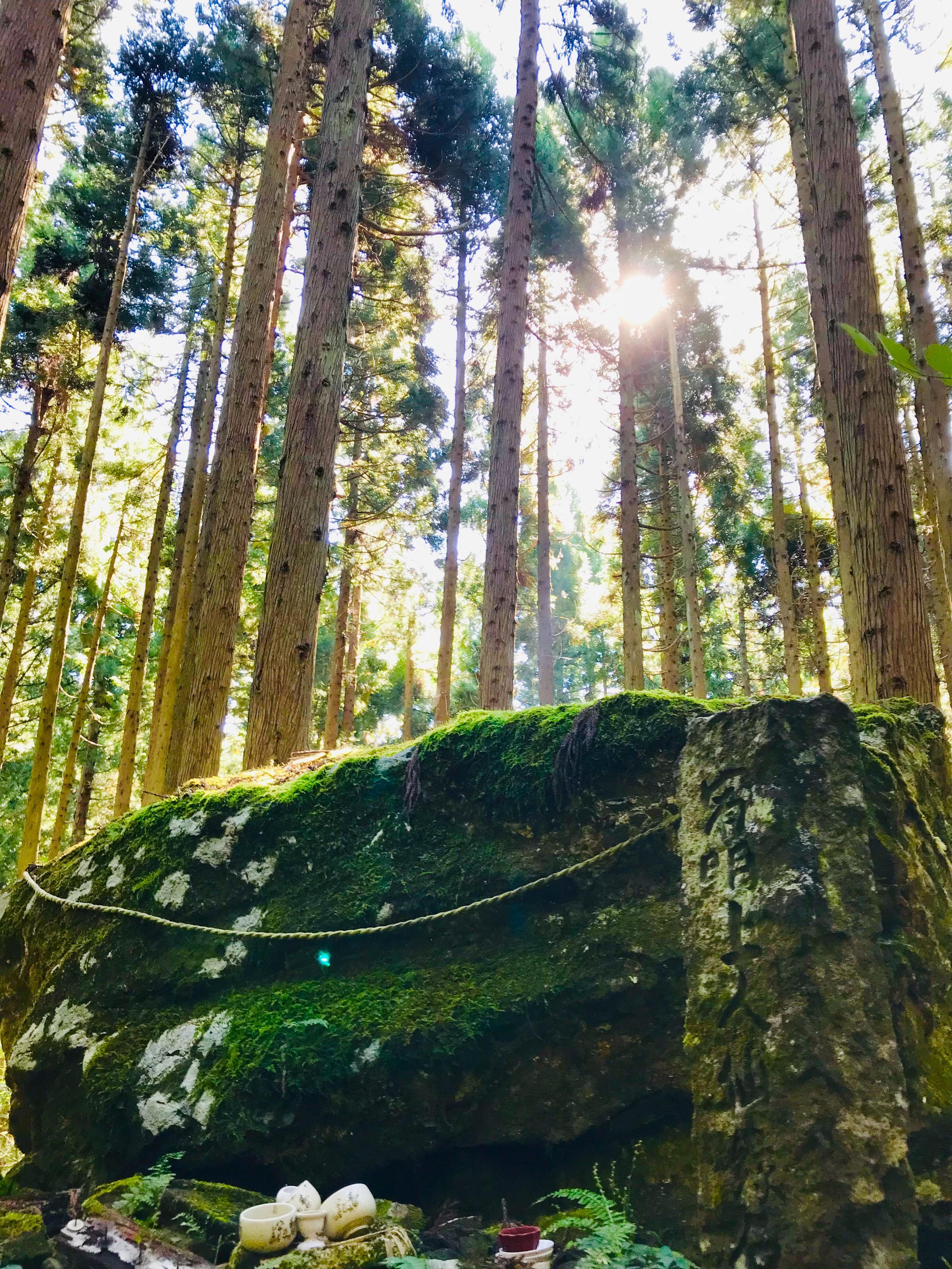 �_��I�ȗ�΁w�剏�΁x