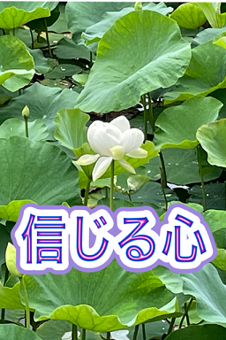 �M����΂����IR4.1.14����