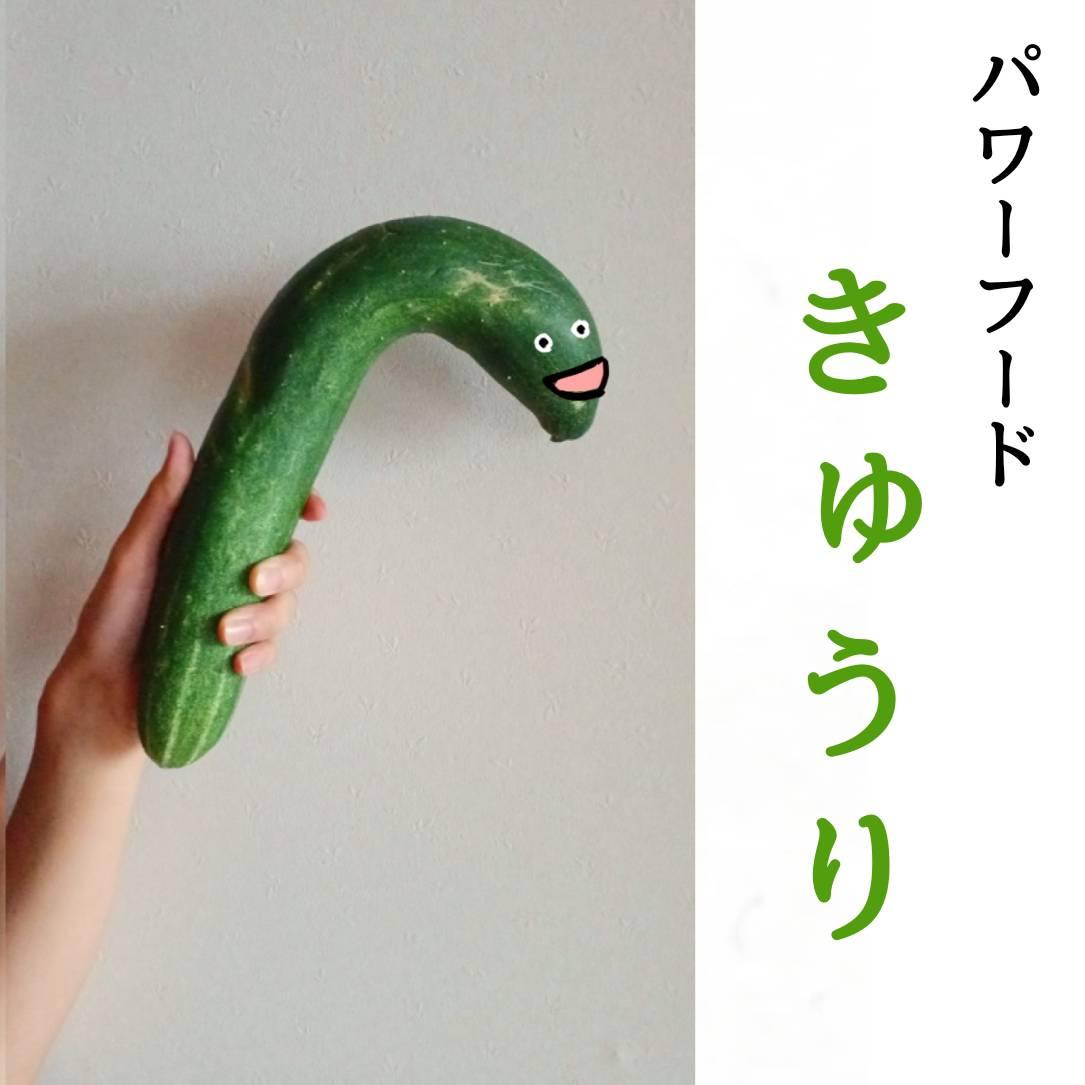 �y��E���N�^�z�p���[�t�[�h�I���イ�聙